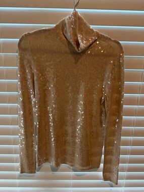 Express Champagne Sequin Turtleneck Sweater